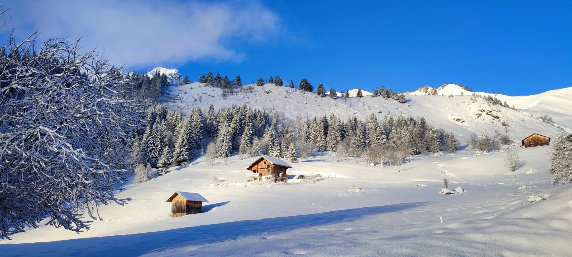 Le Taconet Hotell Le Praz de Lys Eksteriør bilde
